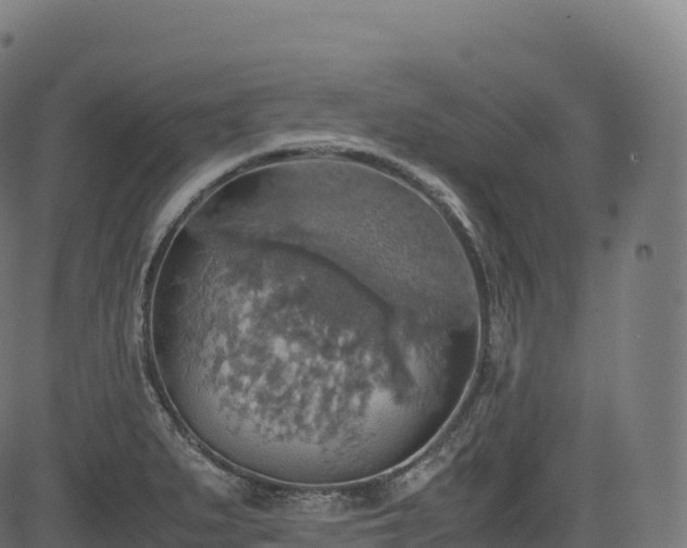 X0000085251279200703091248