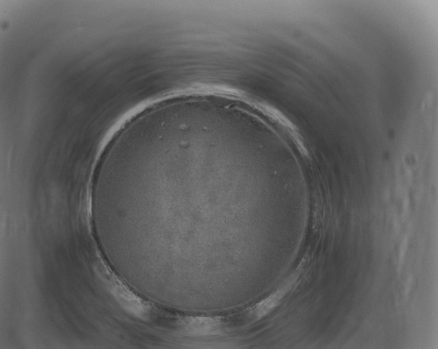 X0000085251280200703091248