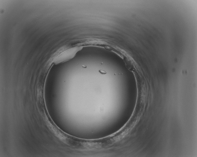 X0000085251281200703091248