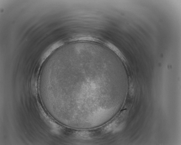 X0000085251282200703091248