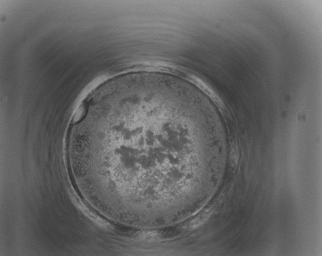 X0000085251283200703091248