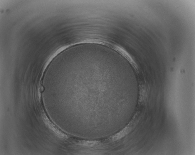 X0000085251284200703091248