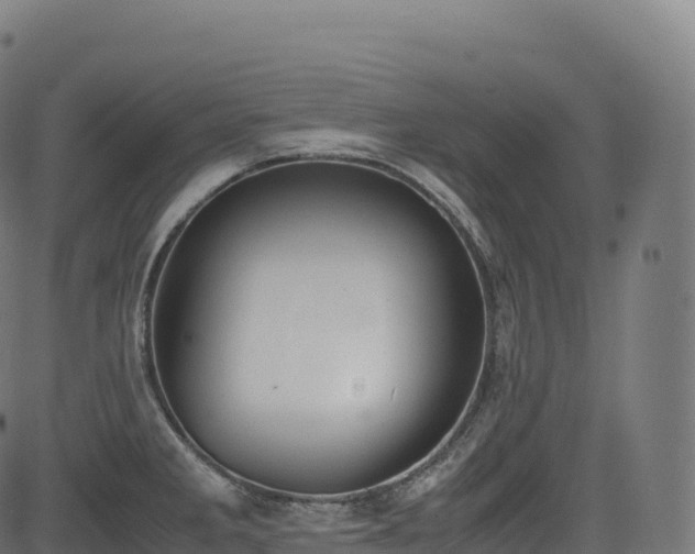 X0000085251285200703091248