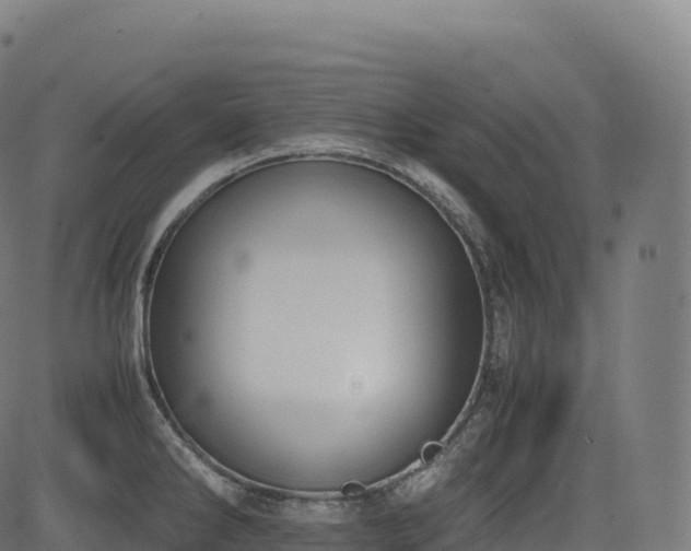 X0000085251286200703091248