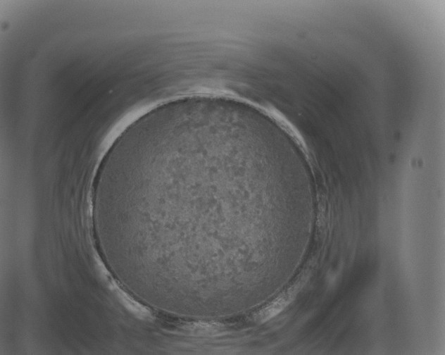 X0000085251287200703091248