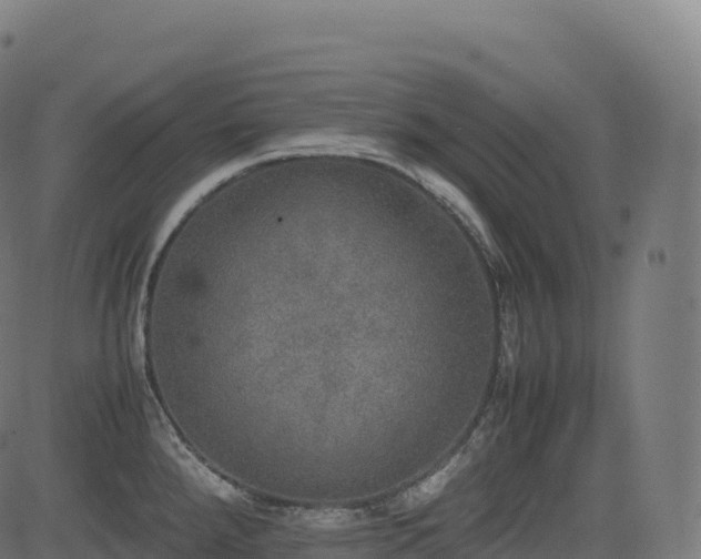 X0000085251288200703091248