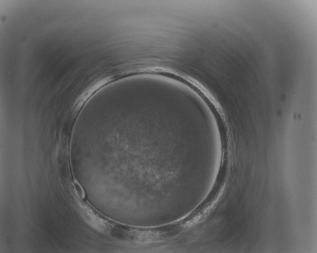 X0000085251289200703091248