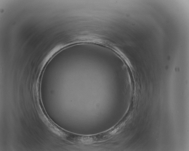 X0000085251291200703091248