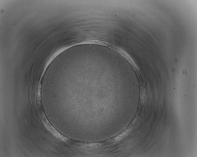 X0000085251292200703091248