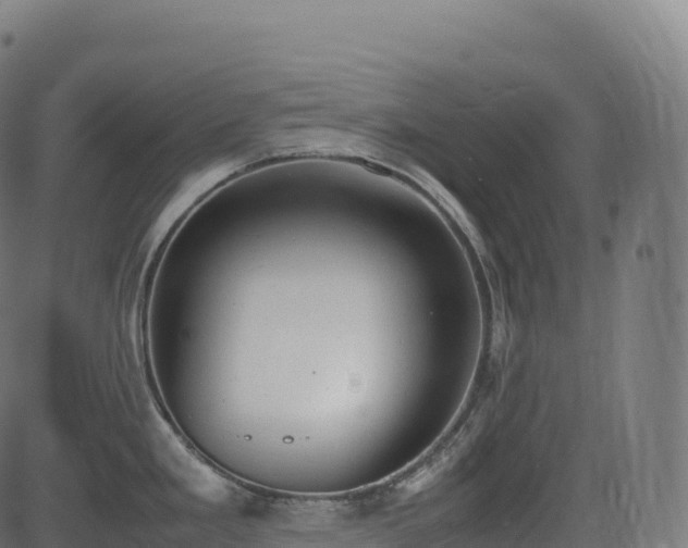 X0000085251293200703091248