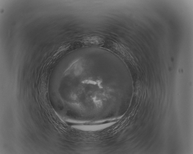 X0000085251297200703091247