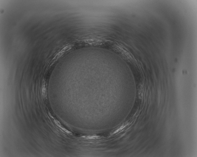 X0000085251298200703091247