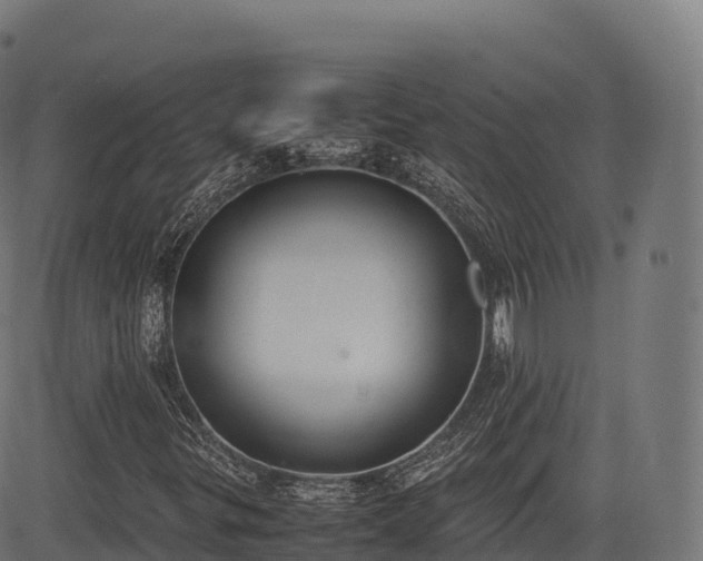 X0000085251299200703091247