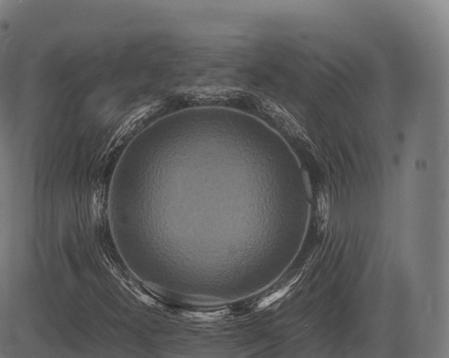 X0000085251300200703091247