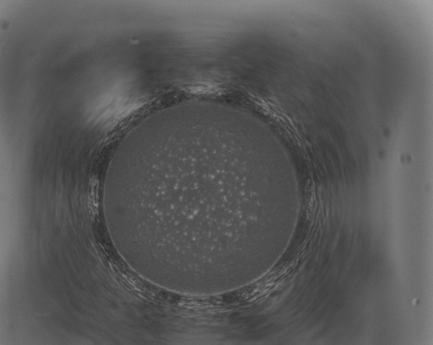 X0000085251301200703091247