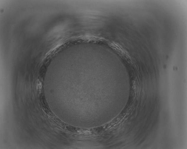 X0000085251302200703091247