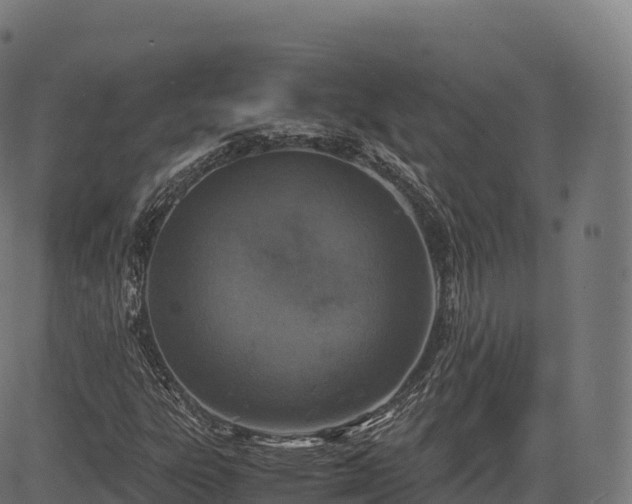 X0000085251303200703091247