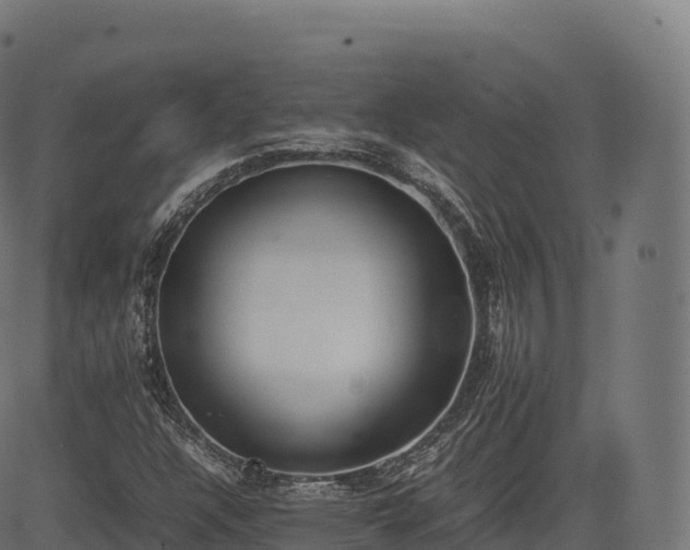 X0000085251304200703091248