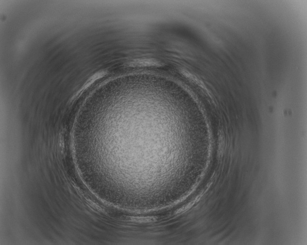 X0000085251305200703091248