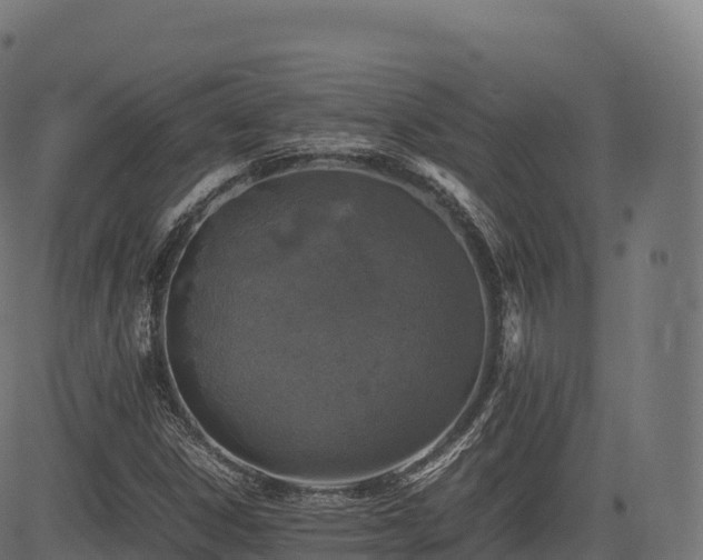 X0000085251306200703091248