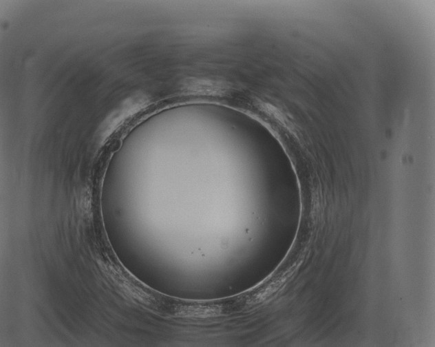 X0000085251307200703091248