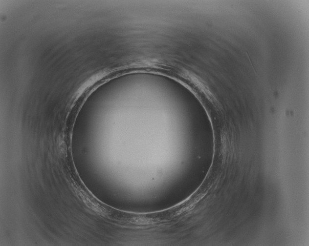 X0000085251308200703091248