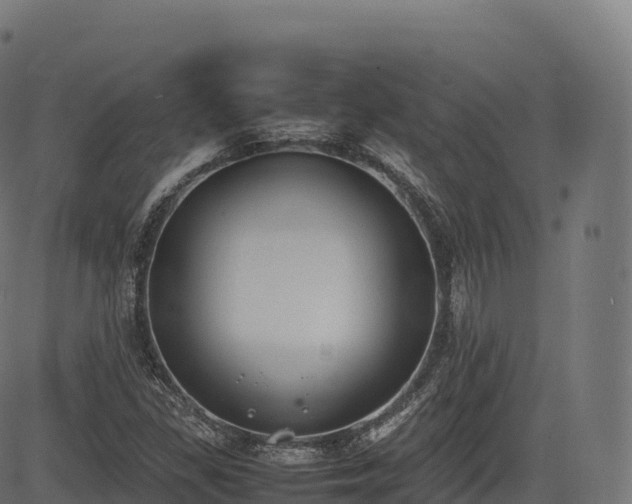 X0000085251309200703091248