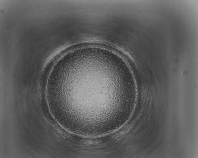 X0000085251311200703091248