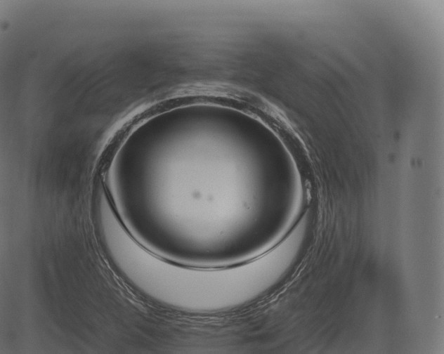 X0000085251312200703091248