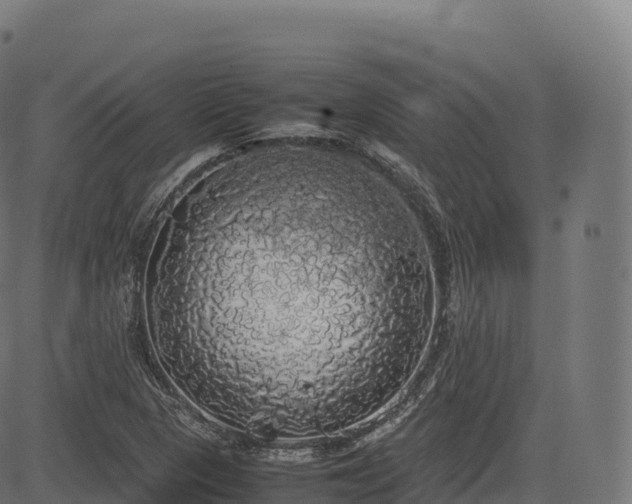 X0000085251313200703091248