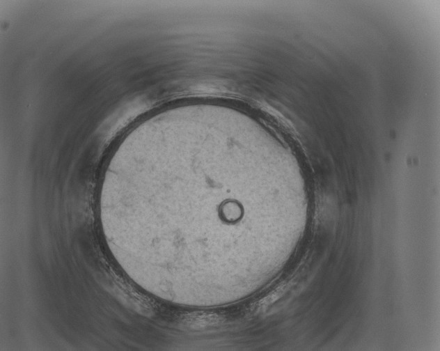 X0000085251314200703091248