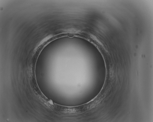 X0000085251315200703091248