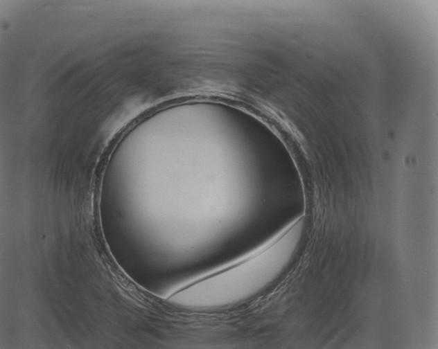 X0000085251316200703091248