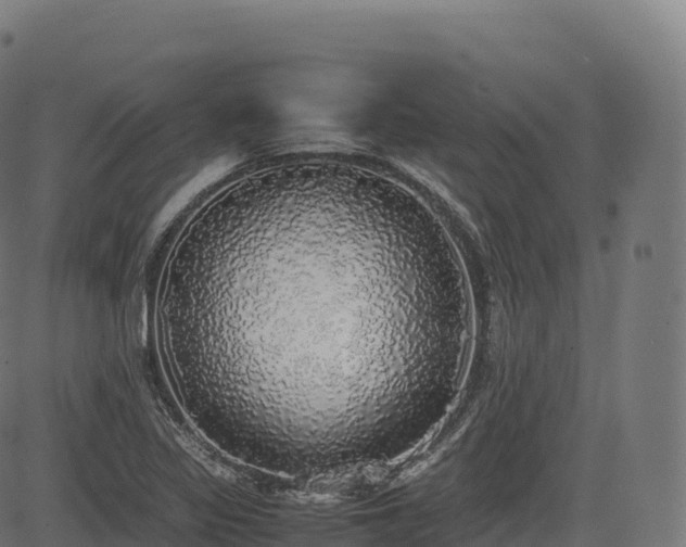 X0000085251317200703091248