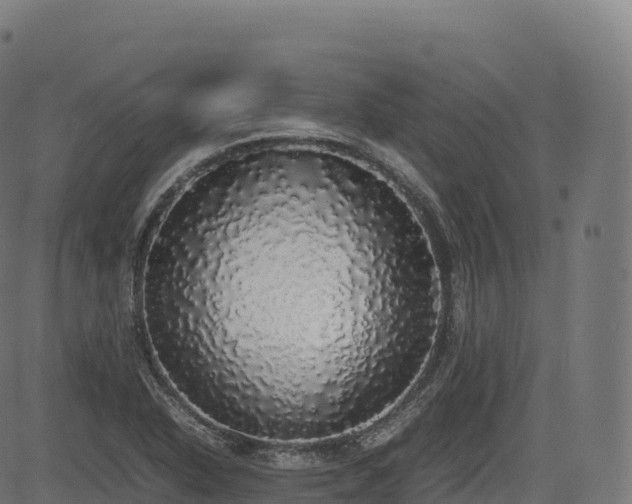 X0000085251318200703091248