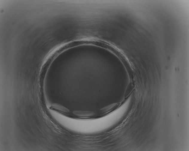 X0000085251319200703091248