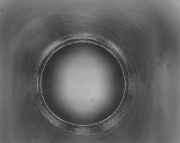 X0000085251320200703091248