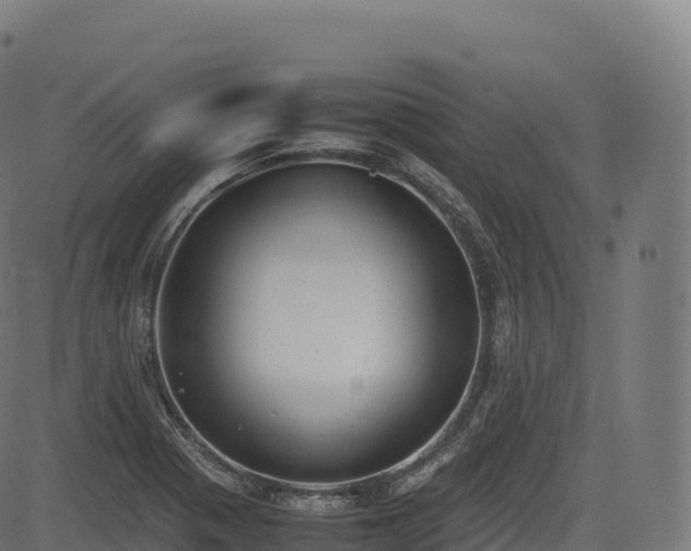 X0000085251321200703091248