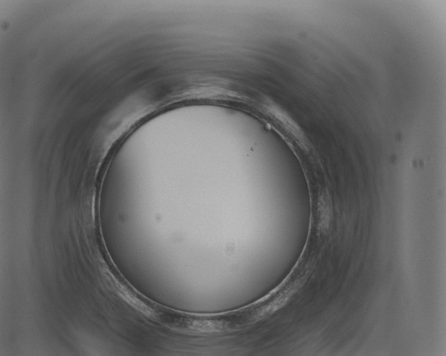 X0000085251322200703091248