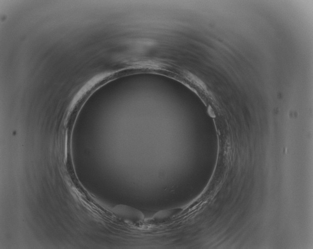 X0000085251323200703091248