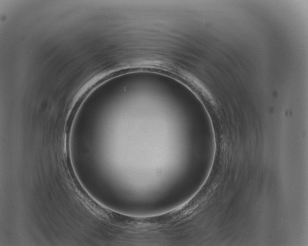 X0000085251324200703091248