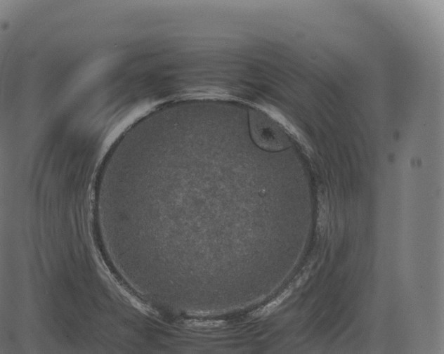 X0000085251325200703091248