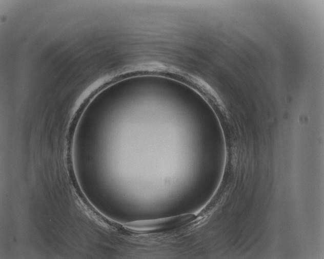 X0000085251326200703091248