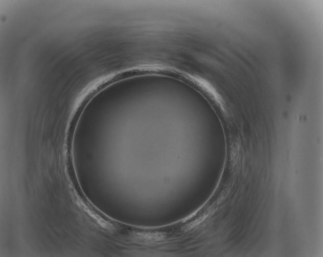 X0000085251327200703091248