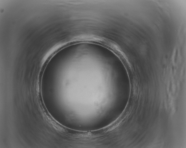 X0000085251328200703091248