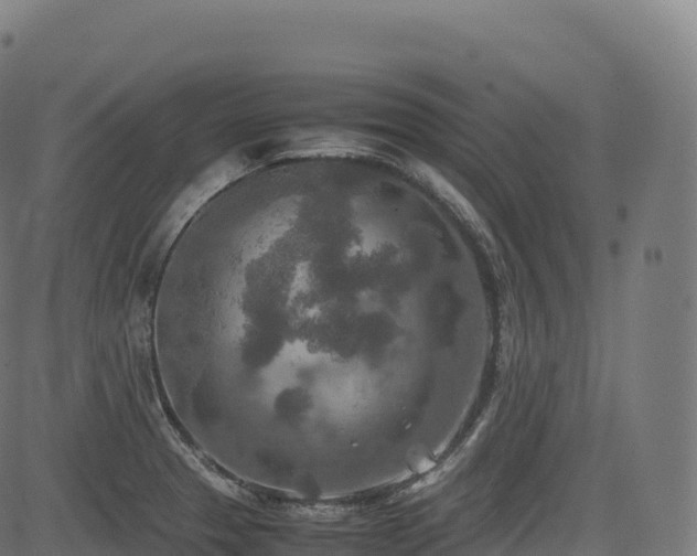 X0000085251329200703091248