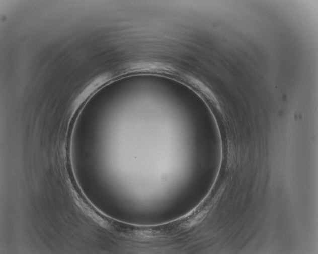 X0000085251330200703091248