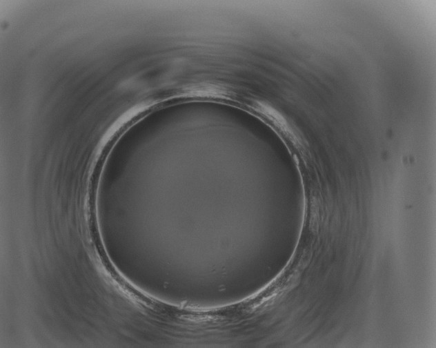 X0000085251331200703091248