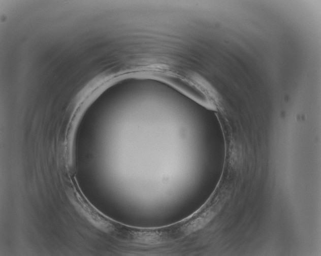 X0000085251332200703091248