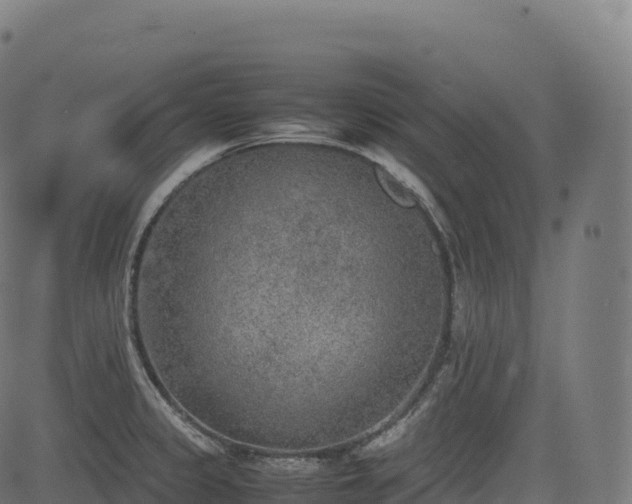 X0000085251333200703091248